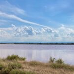 Saline di Cervia con i bambini, visita