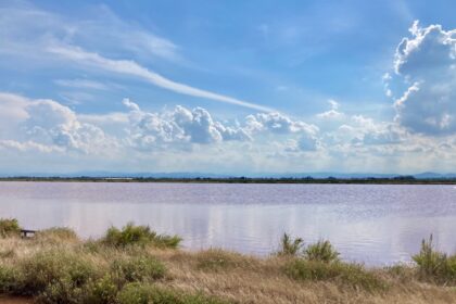 Saline di Cervia con i bambini, visita