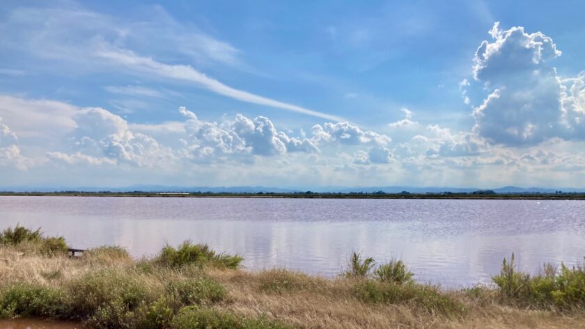 Saline di Cervia con i bambini, visita