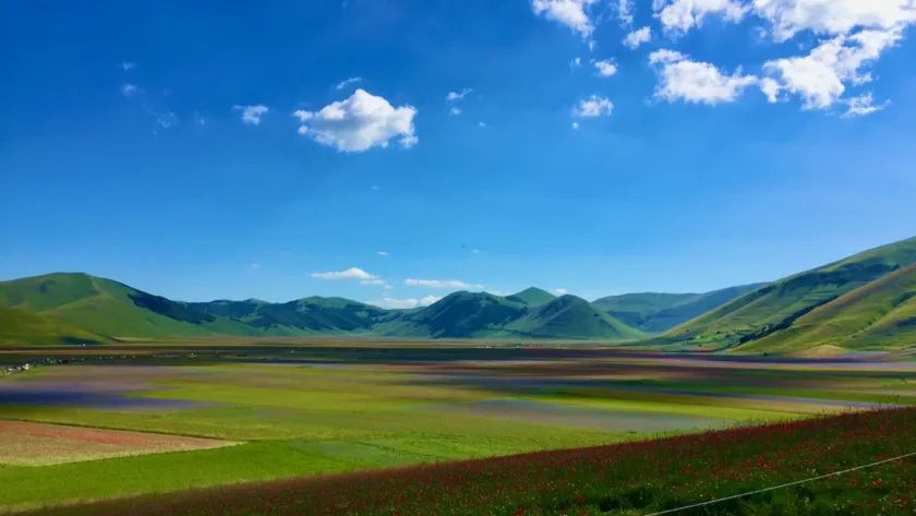 come arrivare fioritura castelluccio 2023