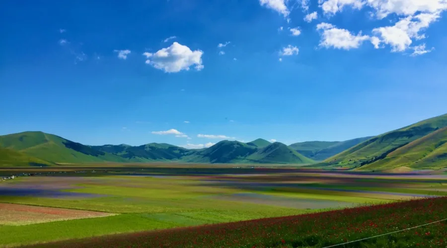 come arrivare fioritura castelluccio 2023