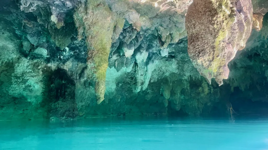 cenote La Noria Ruta de los Cenotes