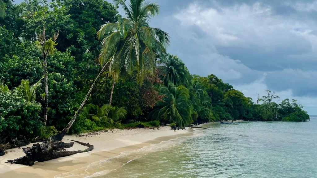Cayo Zapatilla migliore spiaggia Bocas del Toro