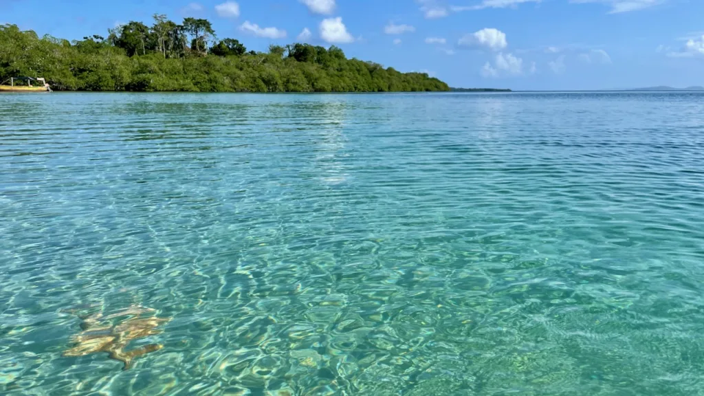 Playa Estrella migliori spiagge Bocas del Toro